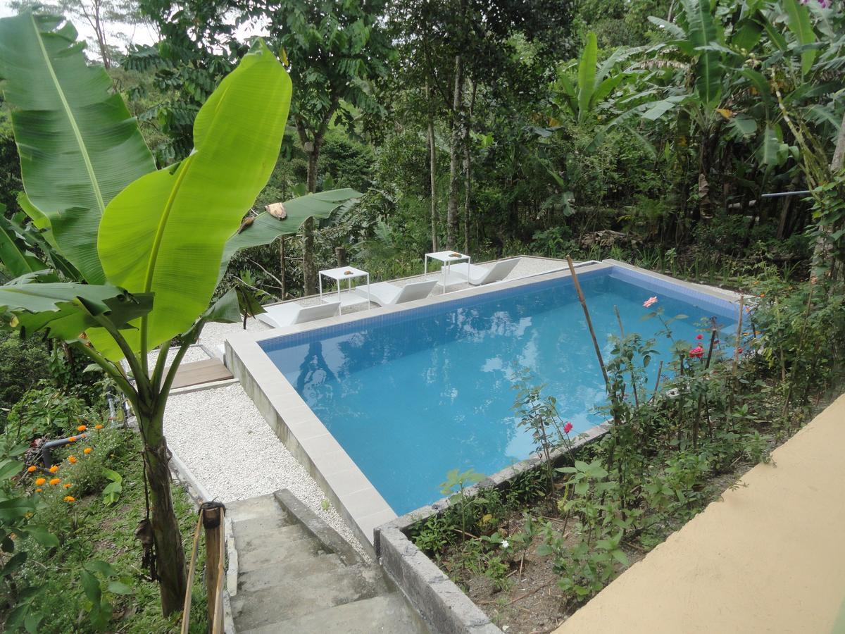 Putu Yoga Bungalow Ubud Kültér fotó